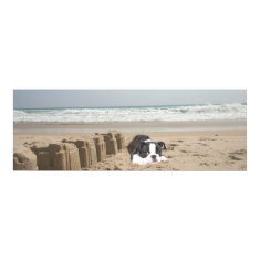 Boston Terrier Poster Sandcastles print