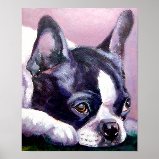 Boston Terrier Print | Zazzle