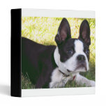 Boston Terrier Pup Binder binders