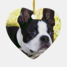 Boston Terrier Pup Ornament