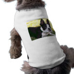 Boston Terrier Pup Pet Shirt