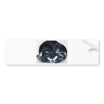 Boston Terrier Puppies Bumper Sticker