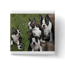 Boston Terrier Puppies Pins
