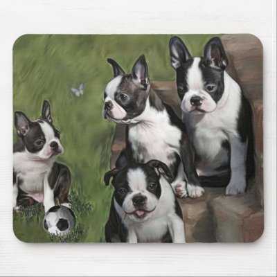 Boston Computer on Boston Terrier Puppies Mouse Mats By Cazzies Creations