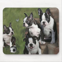 Boston Terrier Puppies mousepads