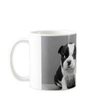 Boston Terrier Puppies mug