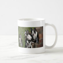 Boston Terrier Puppies Mug