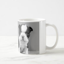 Boston Terrier Puppies mug