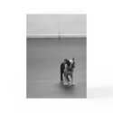 Boston Terrier Puppy DRU cards by dansonbostons Boston Terrier Puppy DRU cards