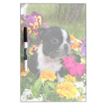 Boston Terrier puppy Dry-Erase Boards