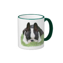 Boston terrier puppy resting coffee mug
