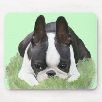Boston terrier puppy resting mouse pad