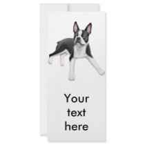 Boston Terrier Rack Card