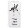Boston Terrier Rack Card