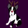 Boston Terrier Reindeer Shirts