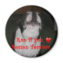 Boston Terrier: Roo magnets by wigglebutthut Boston Terrier: Roo magnets