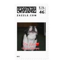 Boston Terrier:  Roo Postage