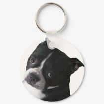 Boston Terrier:  Simply Irresistable keychains