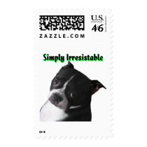 Boston Terrier:  Simply Irresistable Postage Stamp