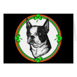Boston Terrier St. Pattys Card