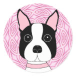Boston Terrier Boston Terrier