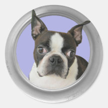 BOSTON TERRIER-STICKER