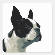 Boston Terrier Stickers
