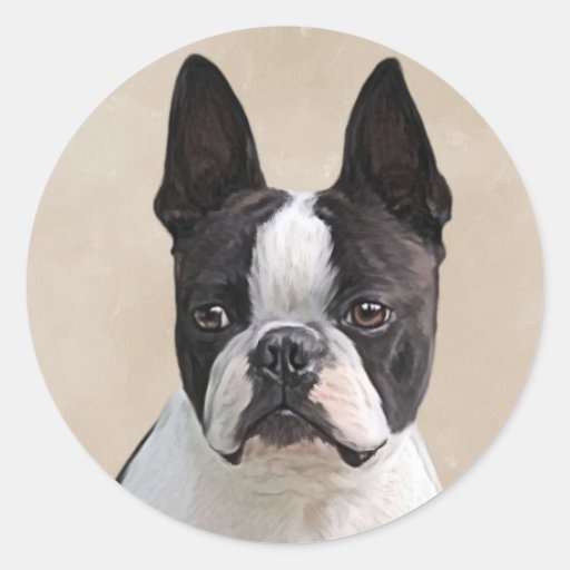 Boston Terrier Round Sticker | Zazzle