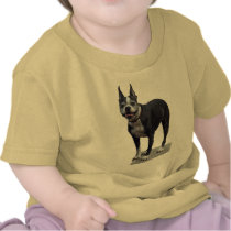 Boston Terrier t-shirts