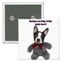 Boston Terrier:  Teddy Bears buttons