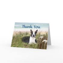 Boston Terrier Thank You Card Beachgrass