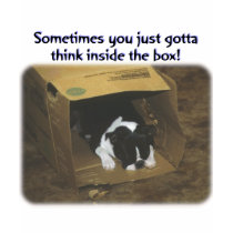 Boston Terrier:  Think Inside the Box t-shirts