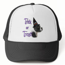 Boston Terrier Trick Hats