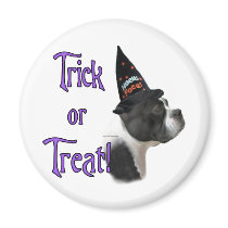 Boston Terrier Trick magnets