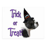 Boston Terrier Trick Postcards