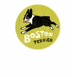 Boston Terrier shirt