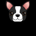 Boston Terrier t-shirts