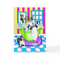 Boston Terrier Tub Full card
