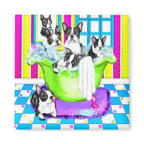 Boston Terrier Tub Full Magnet