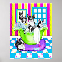 Boston Terrier Tub Full Poster