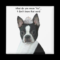 Boston Terrier:  What Do You Mean "No"? magnets