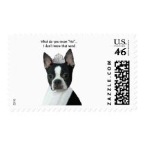 Boston Terrier:  What Do You Mean "No"? Postage Stamps