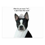 Boston Terrier:  What Do You Mean "No"? Postcard