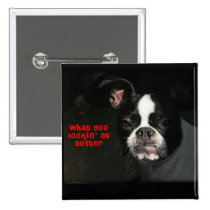 Boston Terrier:  What you lookin' at Buster! buttons