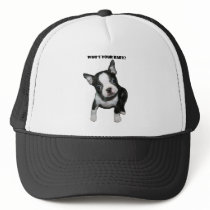 Boston Terrier:  Who's Your Baby? Mesh Hats