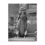 Boston Terriers & 1920s Fashion Post Cards