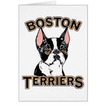 Boston Terriers Mascot cards