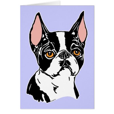 Boston Terrier Mascot