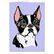 Boston Terriers Mascot nt cards