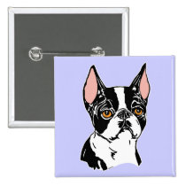 Boston Terriers Mascot nt buttons
